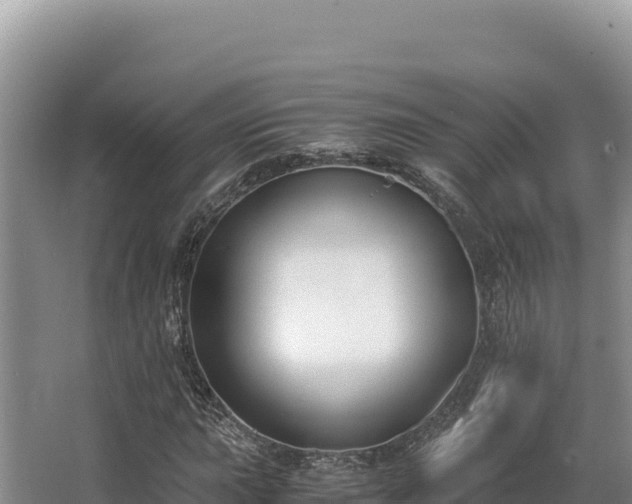 X0000062851015200601171505