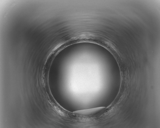 X0000062851018200601171505