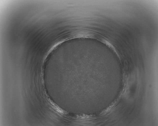 X0000062851019200601171505