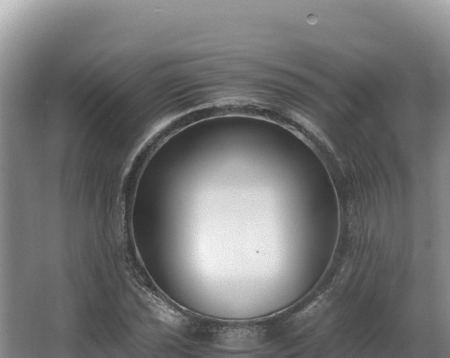 X0000062851021200601171506