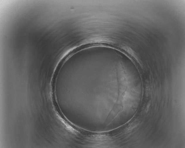 X0000062851024200601171506