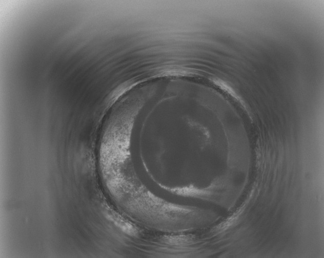 X0000062851025200601171506