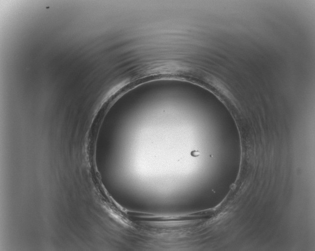 X0000062851026200601171506