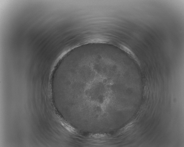 X0000062851027200601171506