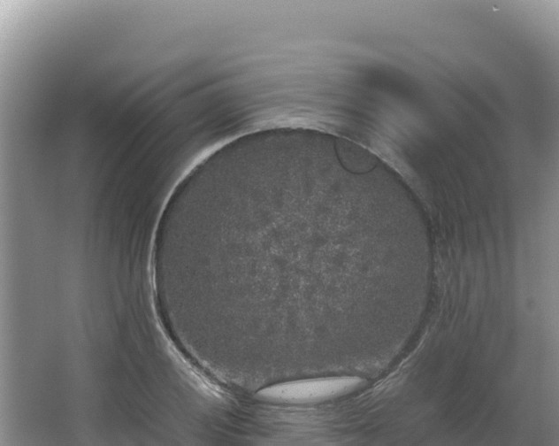 X0000062851028200601171506