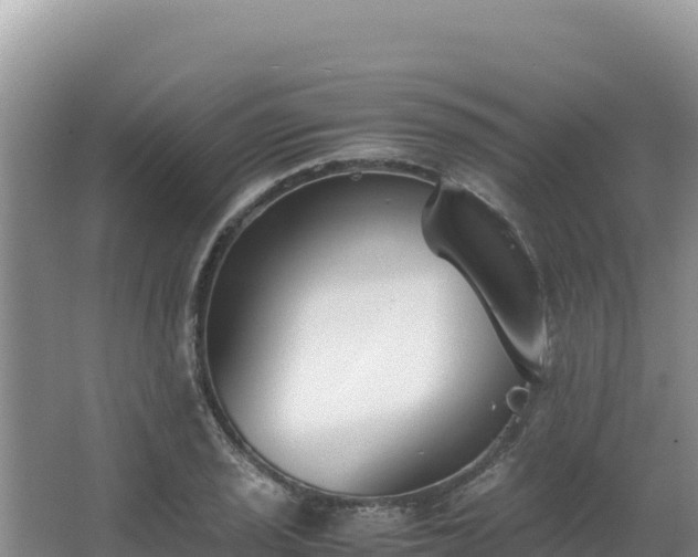 X0000062851029200601171506