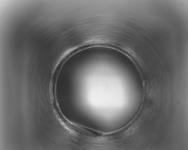 X0000062851030200601171506