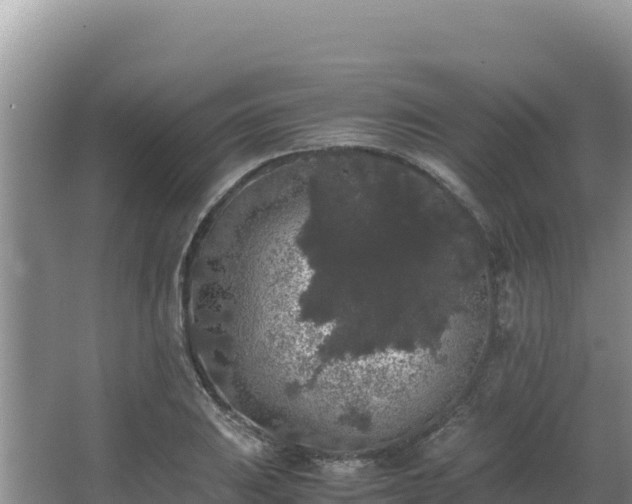 X0000062851031200601171506