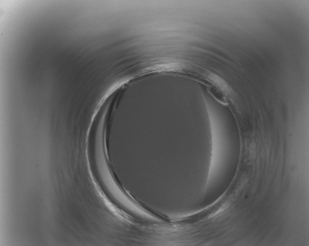 X0000062851034200601171506