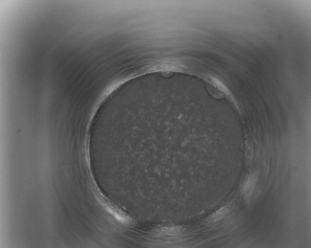 X0000062851035200601171506