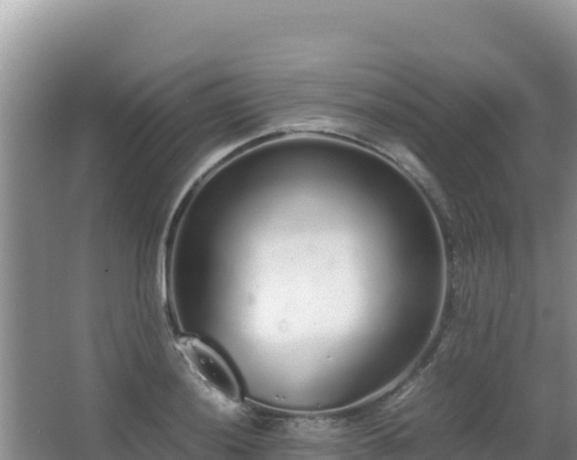 X0000062851036200601171506