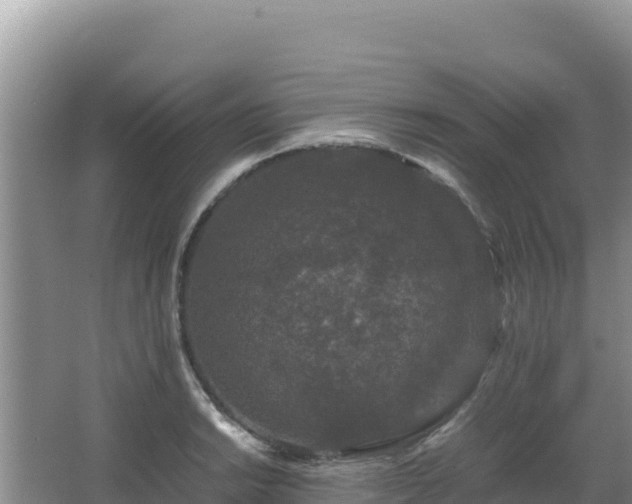 X0000062851038200601171506