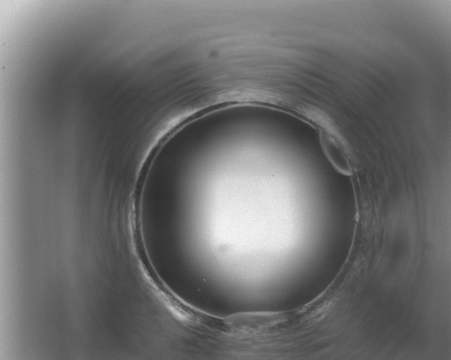 X0000062851040200601171506