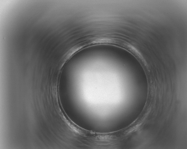 X0000062851041200601171506