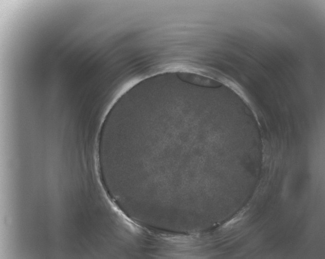 X0000062851048200601171506