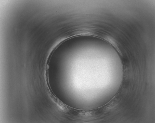 X0000062851051200601171506