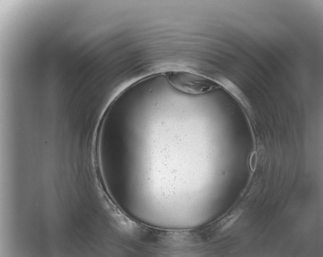 X0000062851052200601171506