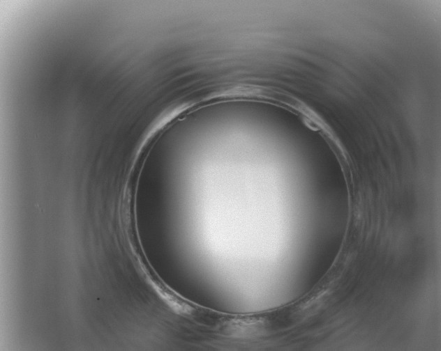 X0000062851053200601171506