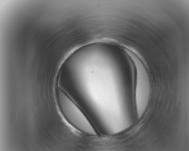 X0000062851054200601171506