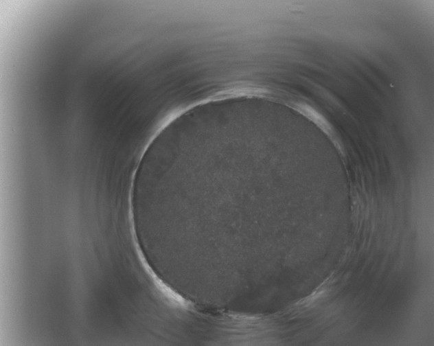 X0000062851055200601171506