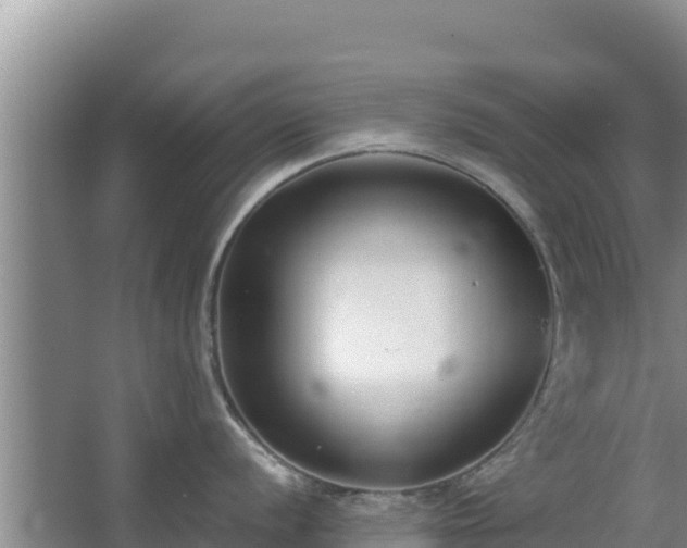 X0000062851056200601171506