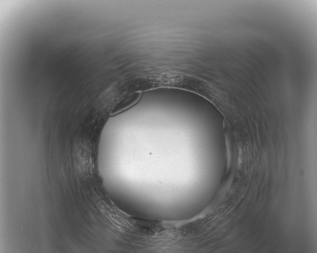 X0000062851058200601171505