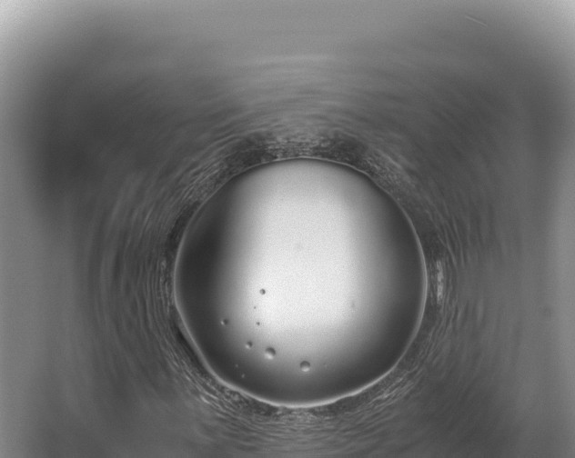 X0000062851059200601171505