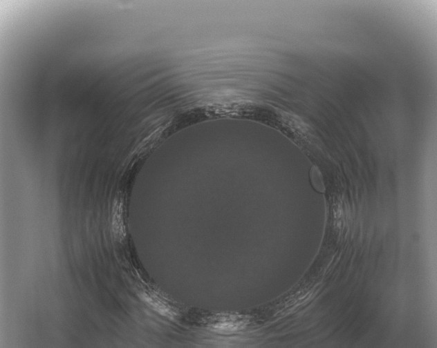 X0000062851060200601171505