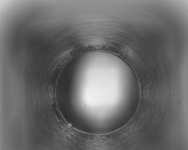 X0000062851062200601171505