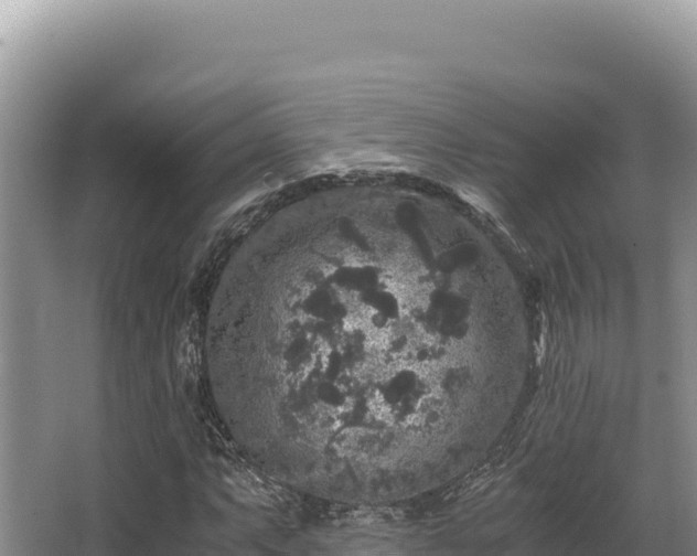 X0000062851063200601171505