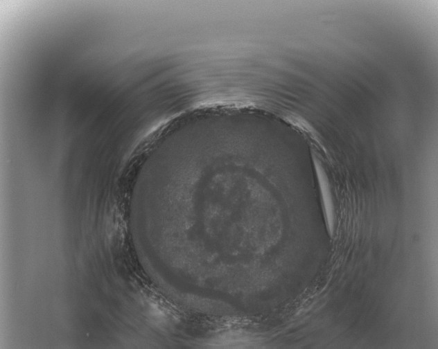 X0000062851064200601171505