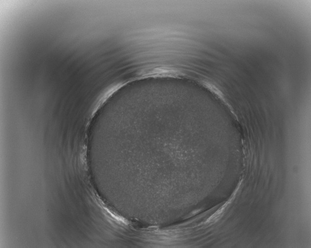 X0000062851066200601171505