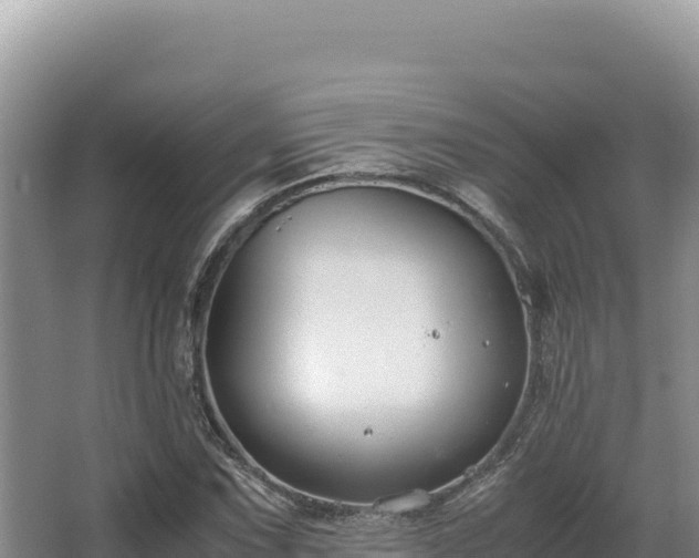 X0000062851067200601171505