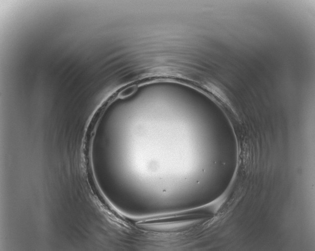 X0000062851068200601171505