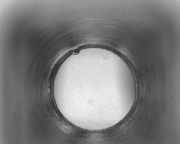 X0000062851070200601171505