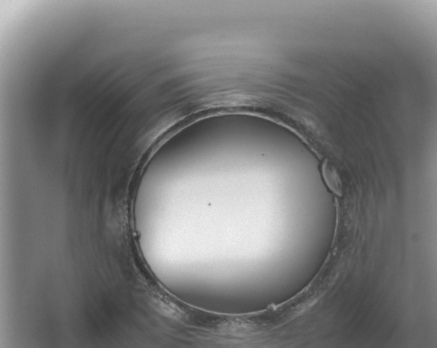 X0000062851073200601171505