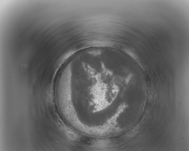 X0000062851074200601171505