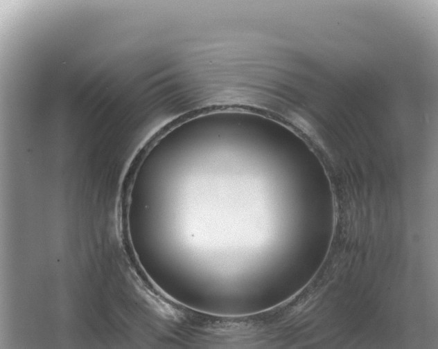 X0000062851076200601171505