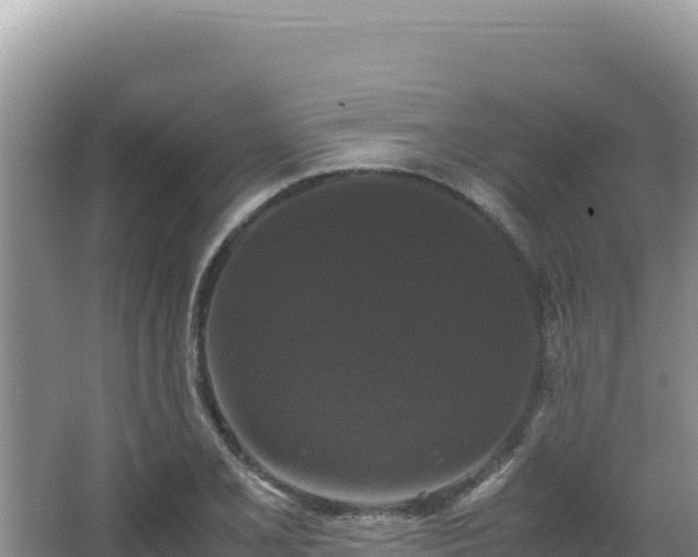 X0000062851077200601171505