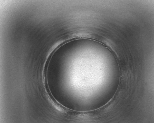 X0000062851082200601171505