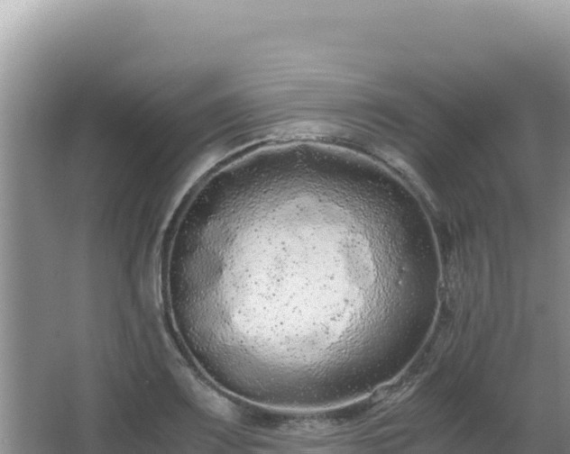 X0000062851083200601171505