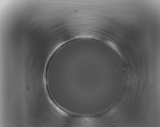 X0000062851084200601171505