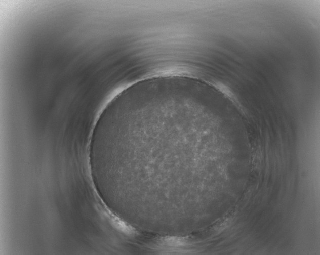 X0000062851086200601171505