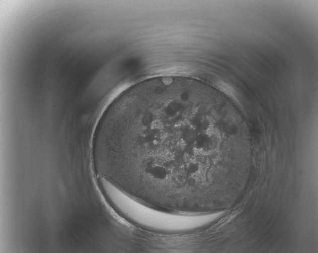 X0000062851087200601171505