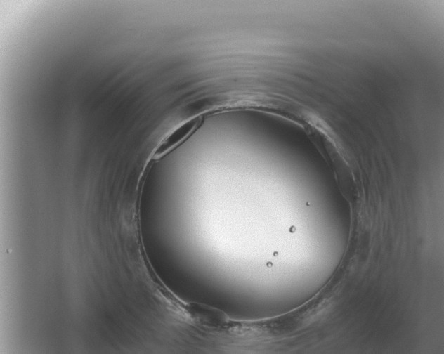 X0000062851089200601171505