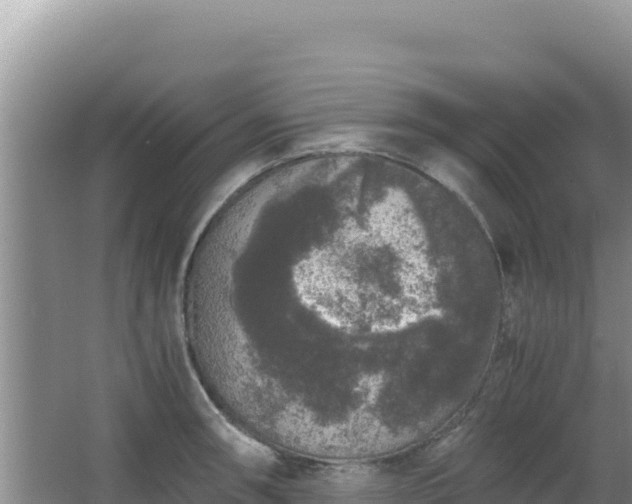 X0000062851090200601171505