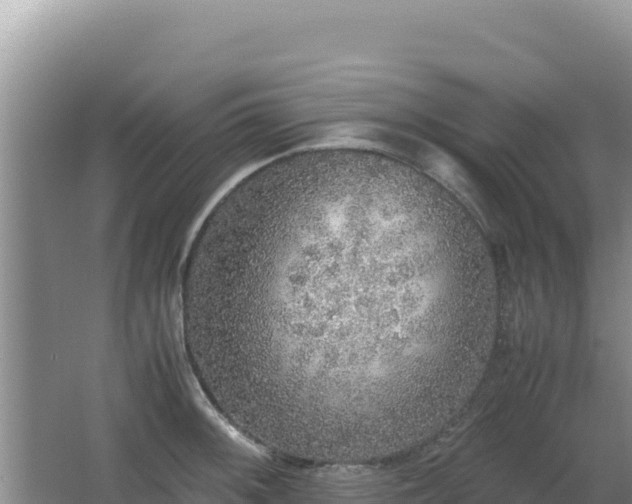 X0000062851092200601171505