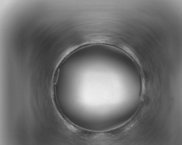 X0000062851093200601171505