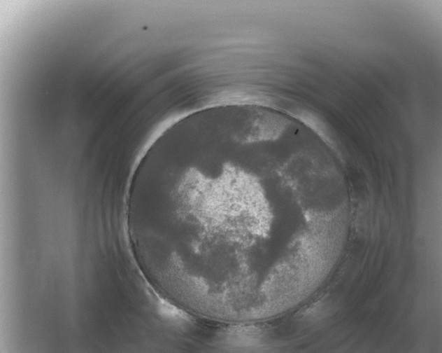 X0000062851094200601171505