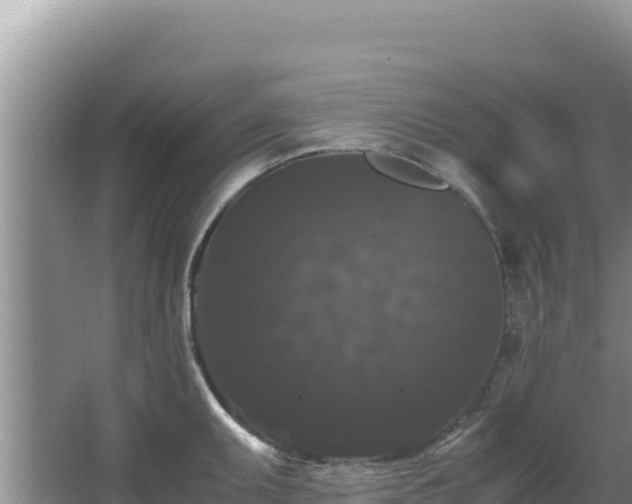 X0000062851095200601171505